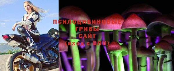 дмт Алзамай