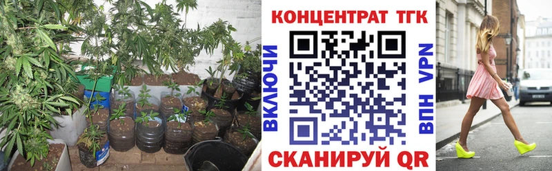 Дистиллят ТГК Wax  МЕГА вход  Амурск 