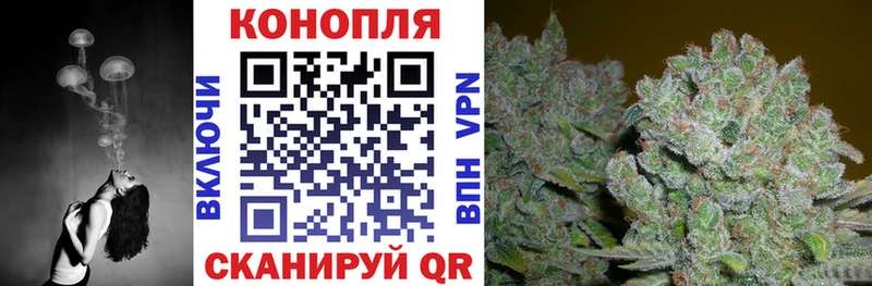 Шишки марихуана гибрид  блэк спрут ССЫЛКА  Амурск 
